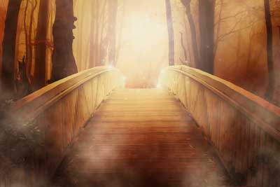 rainbow bridge on WhiteWicca